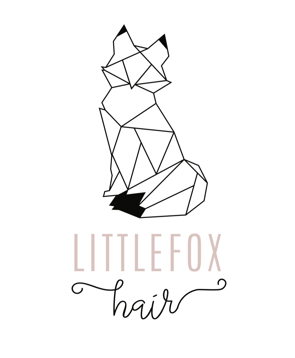 Little Fox Hair Logo creation